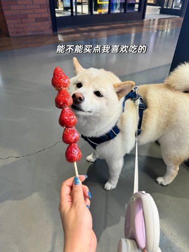 你怎么这么能逛｜逛街ji