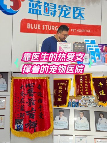 能感受到这间宠物医院[爱心]是靠医生的热爱支撑着