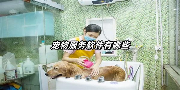 宠物服务app大全