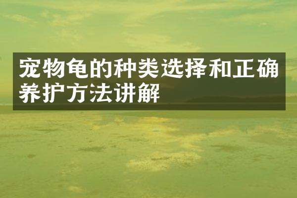 宠物龟的种类选择和正确养护方法讲解