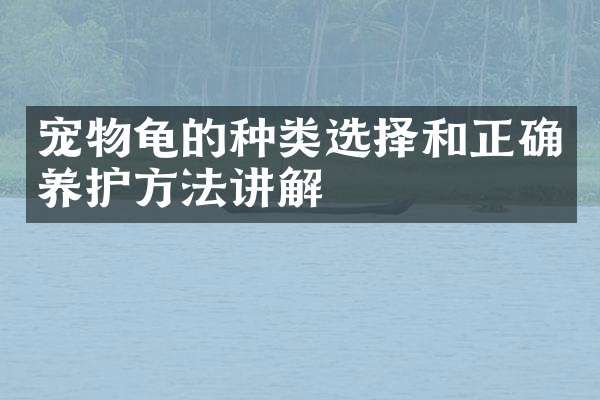 宠物龟的种类选择和正确养护方法讲解