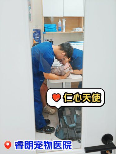 毛孩子碰到[爱心]仁心天使
