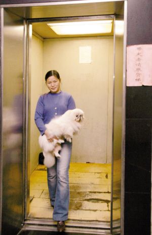 狗乘电梯扰民怎么办？本市一些居民小区有高招——带宠物狗上下楼，请乘货梯