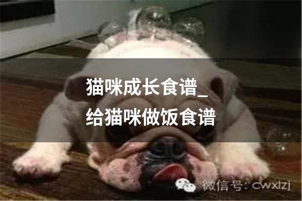猫咪成长食谱_给猫咪做饭食谱