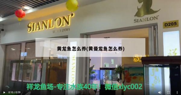 南宁市言龟正传宠物店（南宁名龟交易市场） 乌龟 第4张