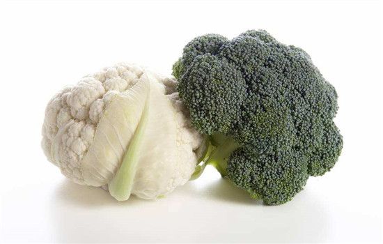 狗狗能吃的四种食物 快快加进狗狗食谱吧