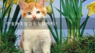 学宠物美容会有危险性吗？