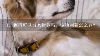 刺猬可以当宠物养吗？宠物刺猬怎么养？