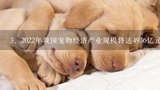 2022年我国宠物经济产业规模将达4936亿元，为何宠物