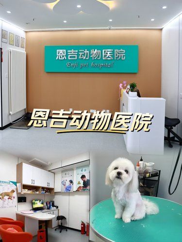 毛孩子靠谱医院，家里福了～