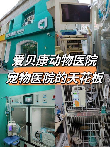 爱贝康动物医院：宠物医院的天花板