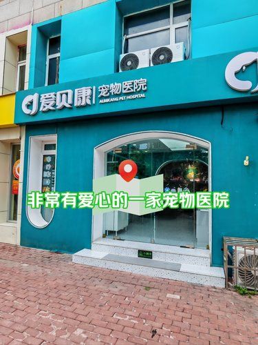 救助过许多无家可归的小动物
