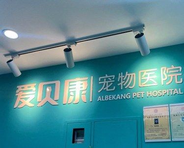 北京-通州｜爱贝康动物医院