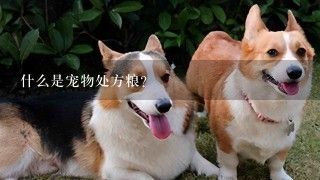 什么是宠物处方粮？