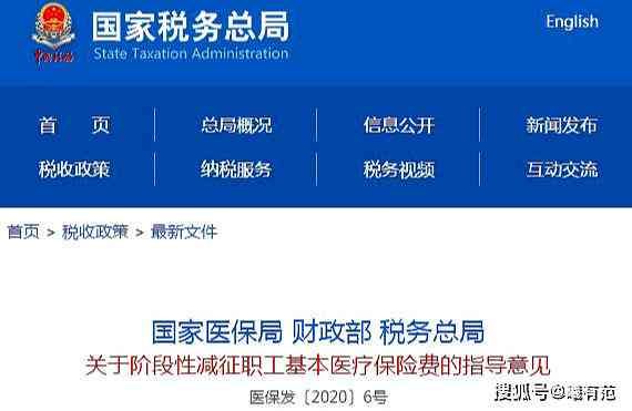 全方位攻略：打造热门萌宠派对AI文案，解答所有用户疑问与需求