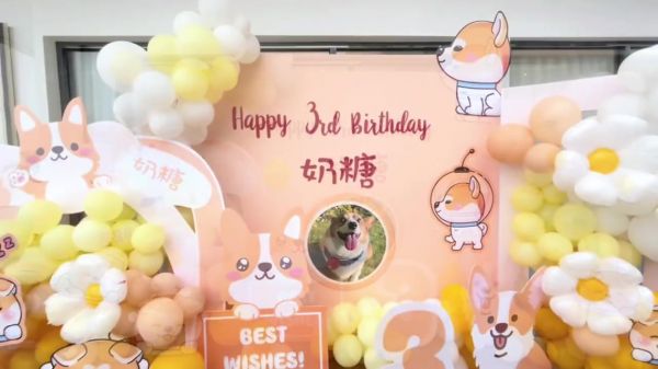 https://p0.meituan.net/coverpic/c3eb821708905bb176db00aee5a62ee2102141.jpg%40360w_640h_1e_1l_100q%7Cwatermark%3D0