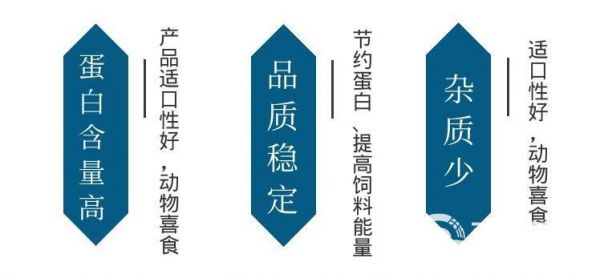  宠物饲料添加剂大米蛋白粉猫狗喜食山东同盛厂家销售