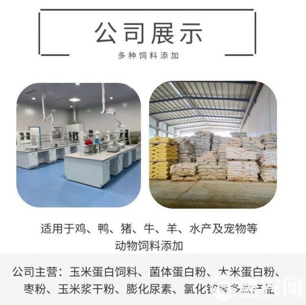  宠物饲料添加剂大米蛋白粉猫狗喜食山东同盛厂家销售