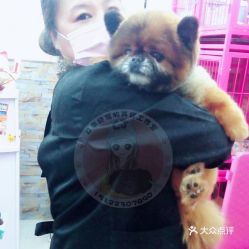 宠物营养品盘点：哪款是爱宠的必需品？