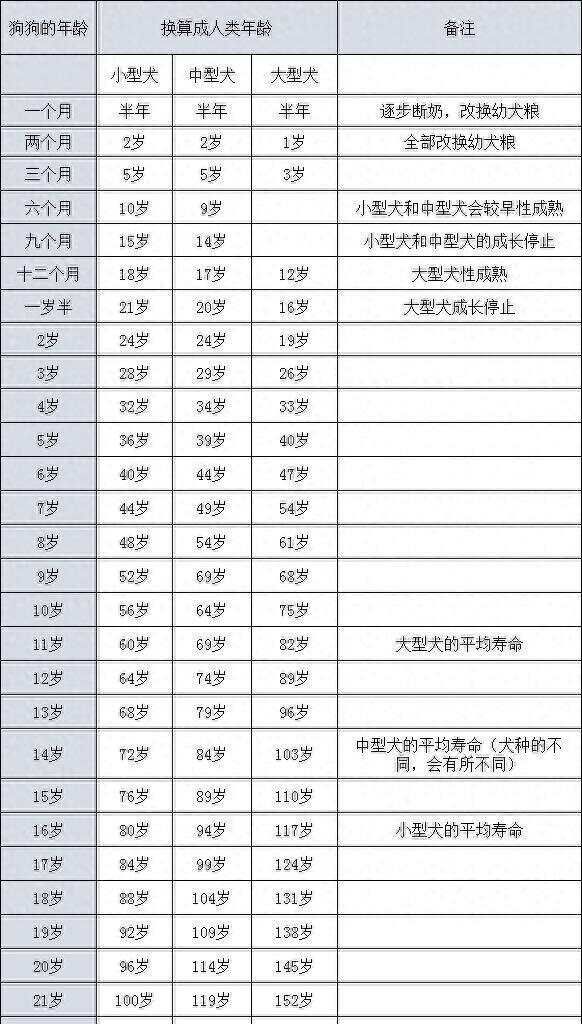 狗1岁＝人7岁？其实是错误的，狗狗最新年龄换算表来了！