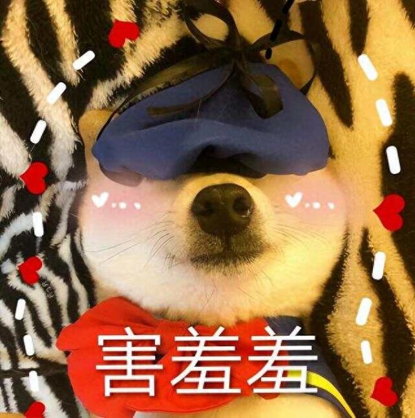 狗1岁＝人7岁？其实是错误的，狗狗最新年龄换算表来了！