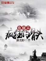 一本好看的神奇宝贝同人