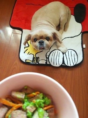 狗狗鲜食——青壮年食谱的做法步骤 第9步