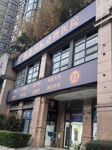 非常靠谱的动物医院！