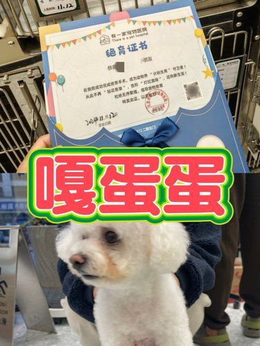 嘎一个蛋蛋到底要花多少？[点赞][点赞]