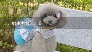 蜗牛宠物怎么养