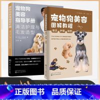 [正版]全2册 宠物狗美容指导手册+图解教程 清洁护理与毛发造型 家养犬类洗牙澡修剪处理幼犬贵宾常用造型除污除虫虱子跳