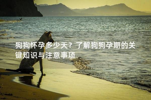 狗<a href=