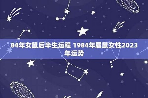 属蛇的人适合养什么动物