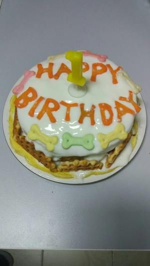 简单美味的狗狗生日蛋糕的做法 步骤9