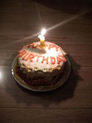 简单美味的狗狗生日蛋糕的做法 步骤10