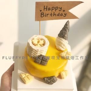 超好看的宠物生日蛋糕宠物烘焙的做法 步骤4