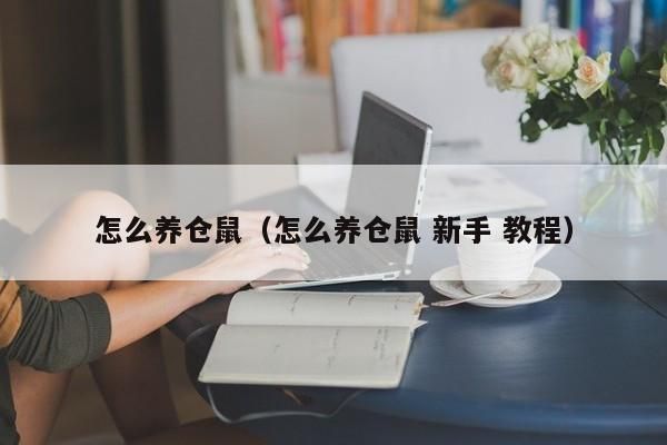 怎么养仓鼠（怎么养仓鼠 新手 教程） 怎么养仓鼠 第1张