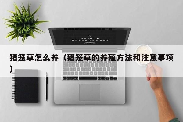 猪笼草怎么养（猪笼草的养殖方法和注意事项） 猪笼草怎么养 第1张
