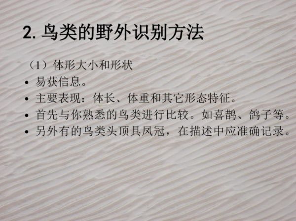 鸟类野外观察方法PPT
