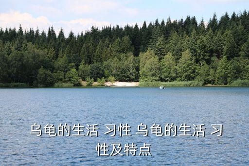  乌龟的生活 习性 乌龟的生活 习性及特点
