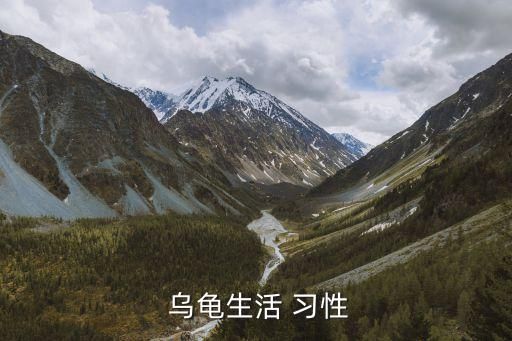  乌龟生活 习性