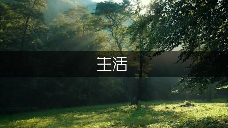 小乌龟的生活习*