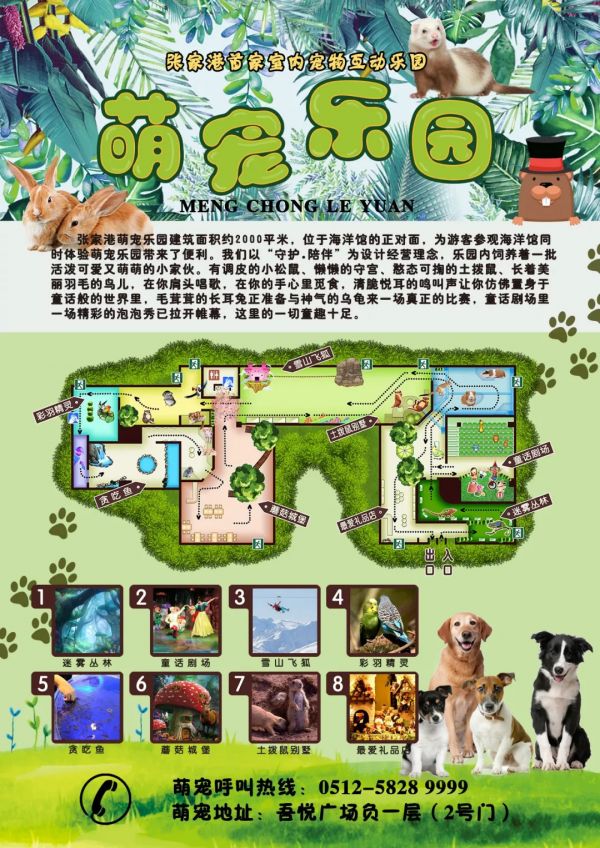 萌宠乐园的奇妙食谱——探索最佳喂食之道
