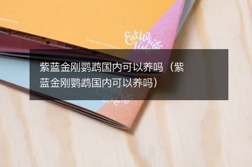 紫蓝金刚鹦鹉国内可以养吗（紫蓝金刚鹦鹉国内可以养吗）
