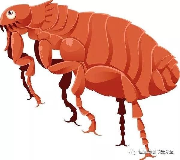 1565752670943835.jpg