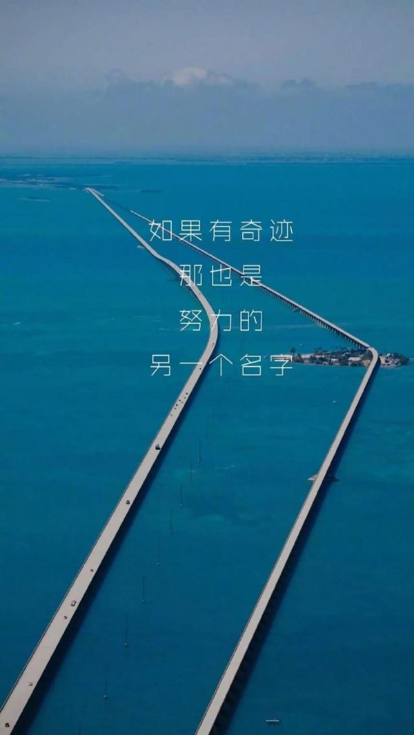 香猪可以当宠物吗-土拨鼠可以当宠物吗