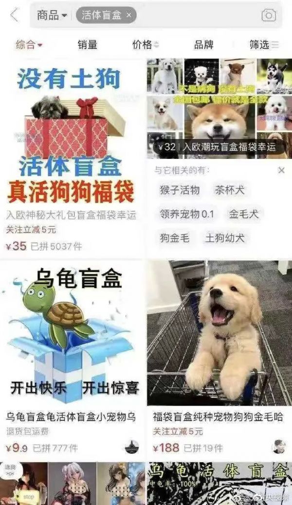 △图片来源于网络