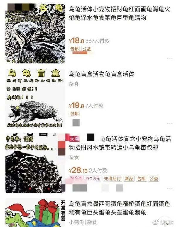 △图片来源于网络