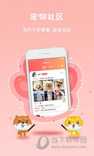 宠宠窝APP