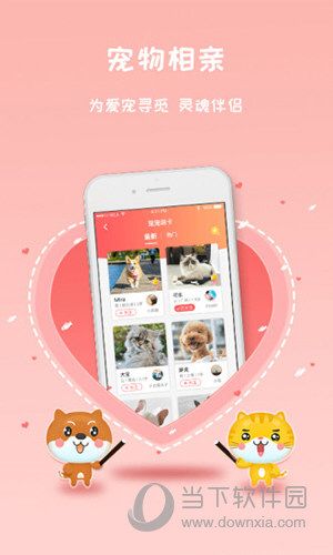 宠宠窝APP